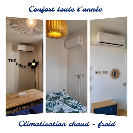 The Cosy شقة